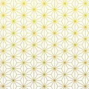 ぬこの画像