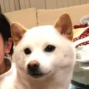 イタテン☆の画像