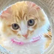 こー