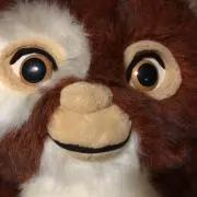 gizmo