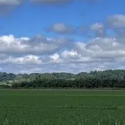 マーブルの画像