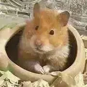 プロフ確認していない方❌の画像