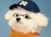 ほしの画像