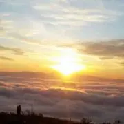 まさ
