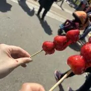 なかの画像