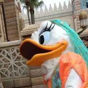 さとみん＊プロフ必読お願いしますの画像