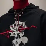 5の画像