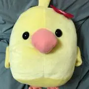 ぴよりんの画像