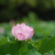 hmrgkmz