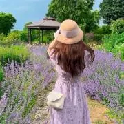 もんちゃんの画像