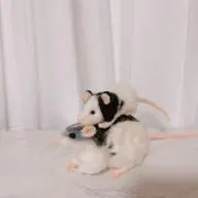 M-♡