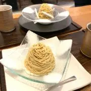 猫の画像