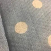 ジャ