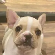 ちーころ