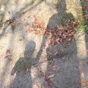 hym24の画像