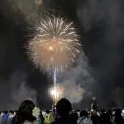 Bearの画像