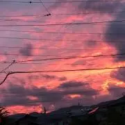 湖池屋の画像