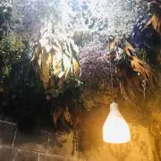 mityの画像