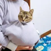 きなこ⭐の画像