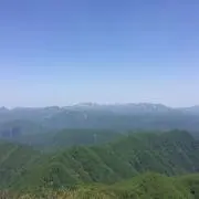 鈴木さん家〜ひまわり