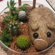 ねるるの画像