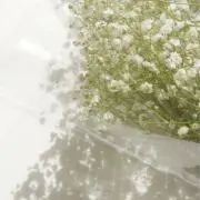 ONの画像