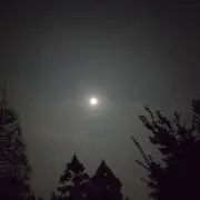 Moonlightの画像