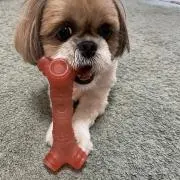 おずこの画像