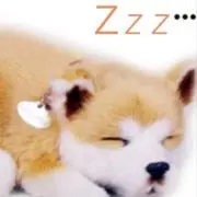 ねおまる