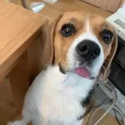 tokiの画像
