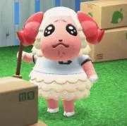 mtの画像