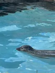 れいん
