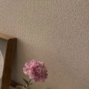 ddの画像