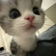 ♡の画像
