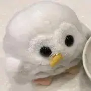 とりの画像
