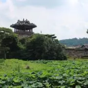 るるの画像