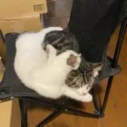 カザナ