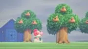 そらの画像