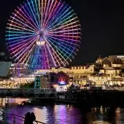 そいやっの画像
