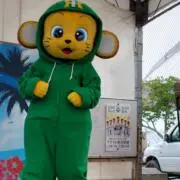 こったの画像