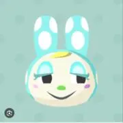 ぴょんの画像