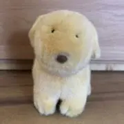 Rinの画像