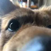 ロマン  〜プロフ必読〜の画像