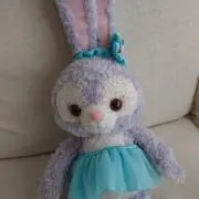 アキちゃの画像