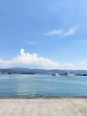 メロンの画像