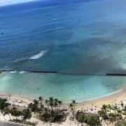 seaの画像
