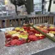 シンバの画像