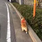 kuuchan0412の画像