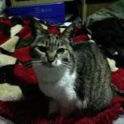 ０