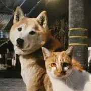 ちゃる※プロフ必読※の画像